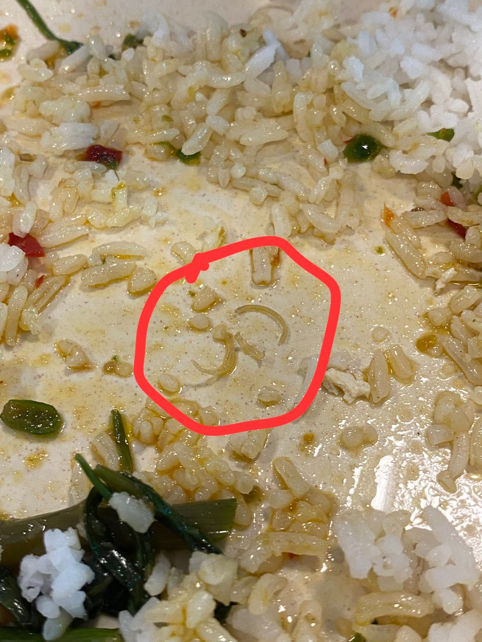 M'sian woman shocked to find 6 nail clippings inside nasi campur | weirdkaya