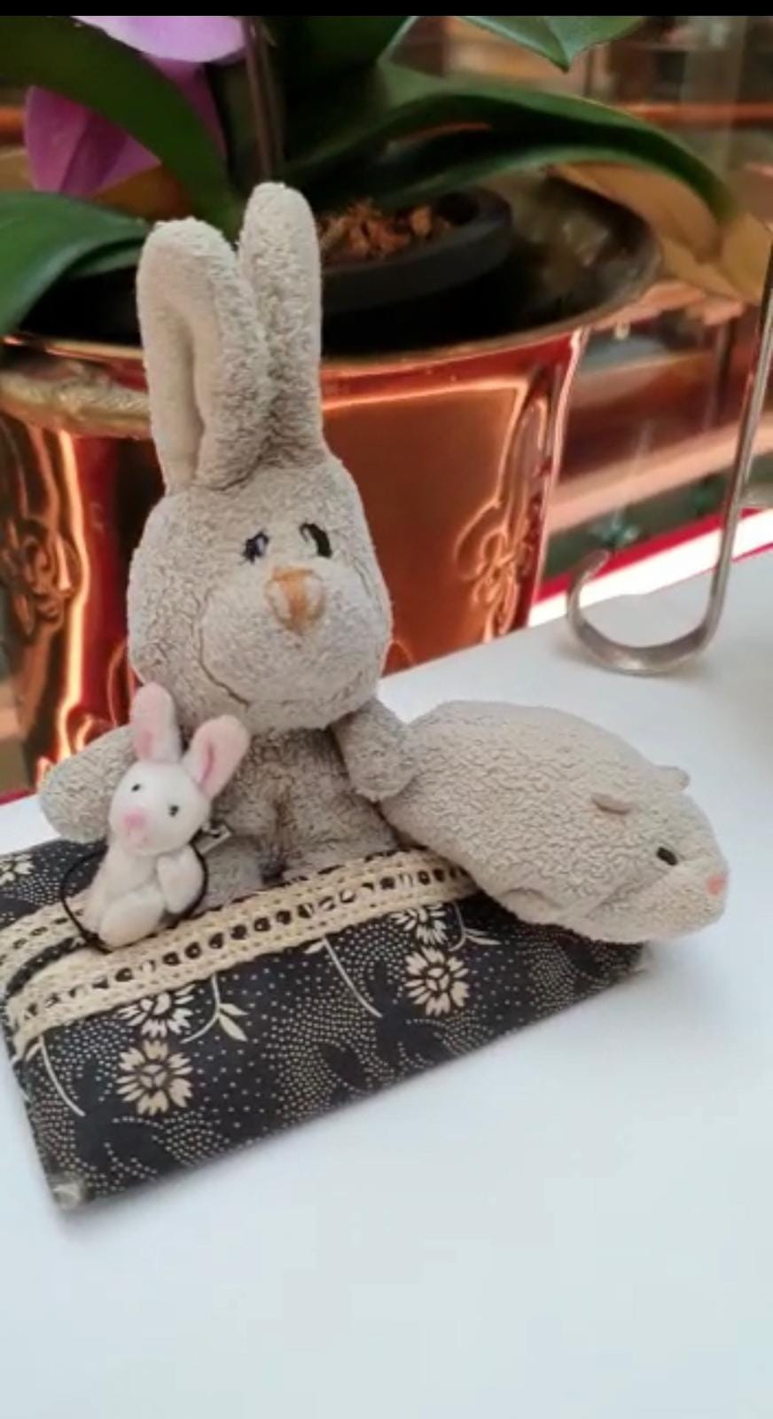 Sg woman offers rm34k for missing soft toys, says she's had them for over 10 years