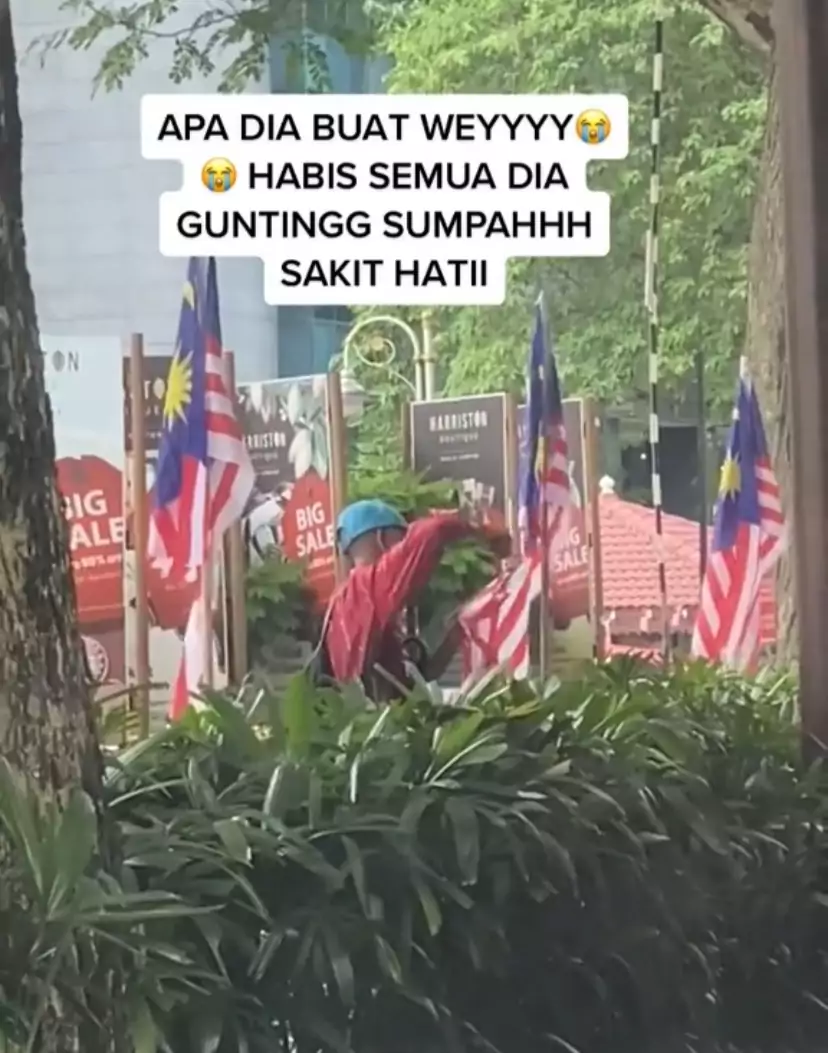 [video] man vandalises a row of jalur gemilangs & netizens are deeply upset