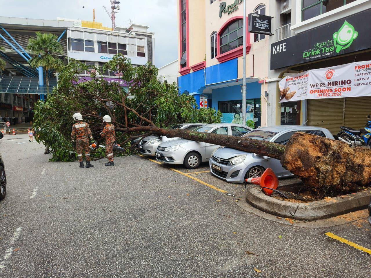 Firefighters removing the fallen tree on the car