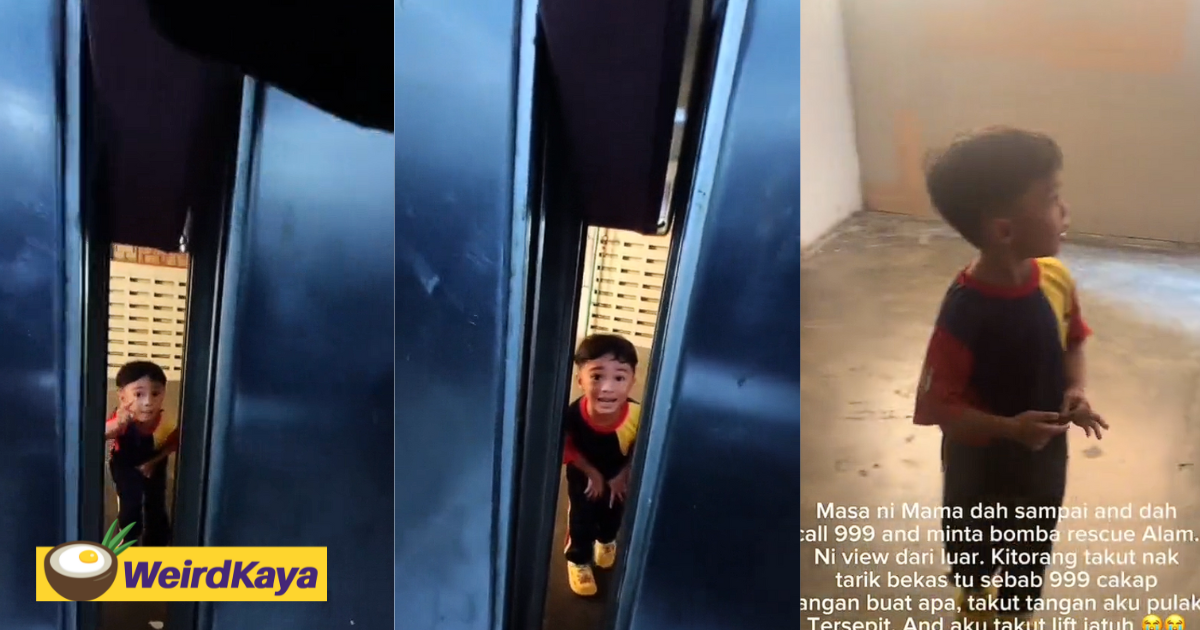 3yo m'sian boy seeks help while aunt gets trapped inside lift for 1 hour, impresses netizens | weirdkaya