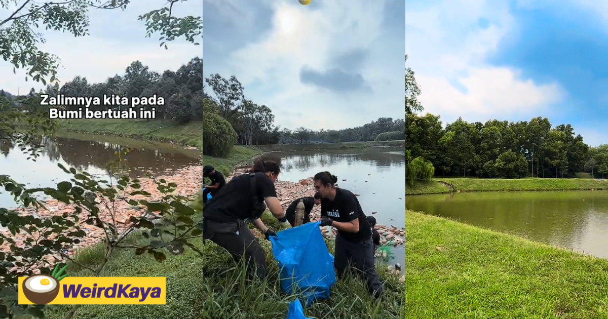 40 m'sians join forces and turn filthy lake in puncak alam into its pristine self | weirdkaya
