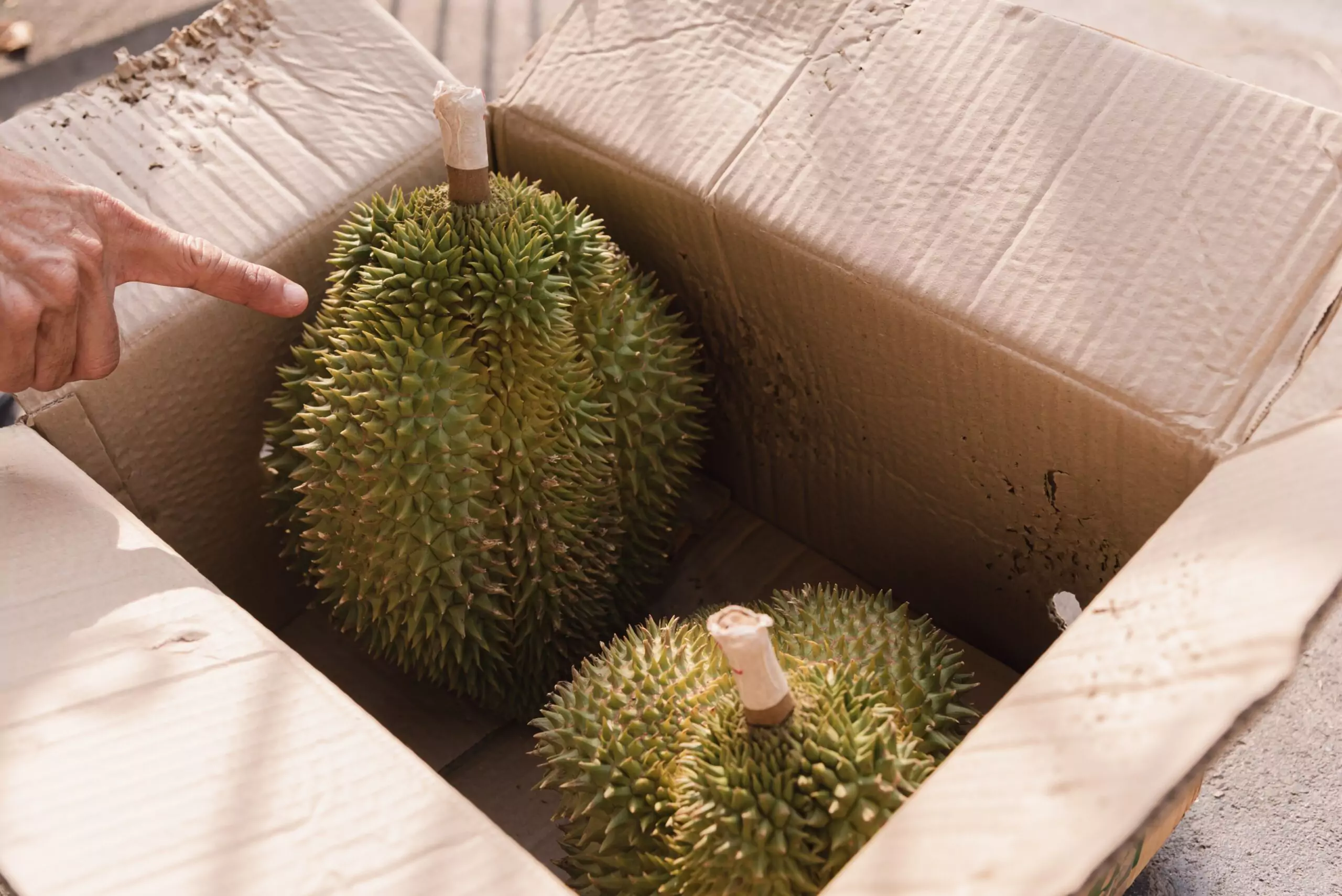 Durians in a box