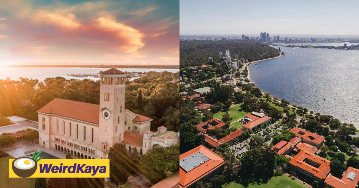 5 reasons why perth is an ideal place to further your studies | weirdkaya