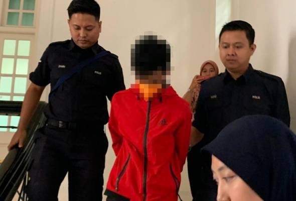 22yo m'sian man rapes 11yo sister-in-law, pleads guilty to charge