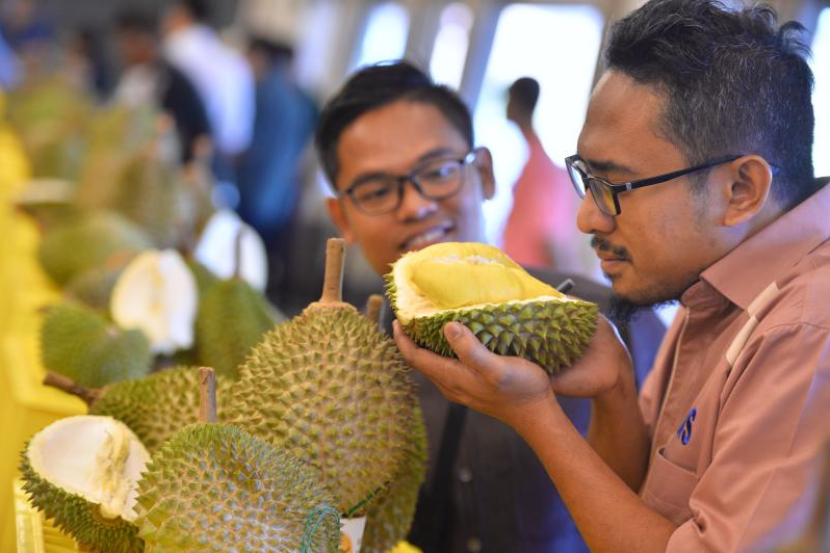 Man smelling the durian he holds