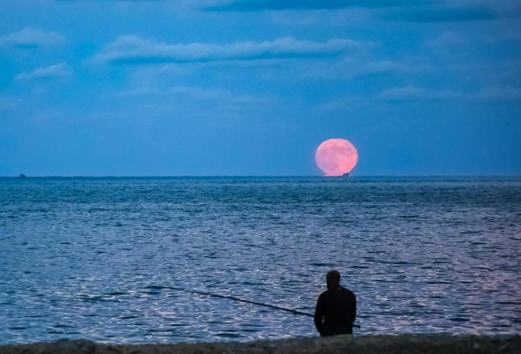 Man fishing by the sea