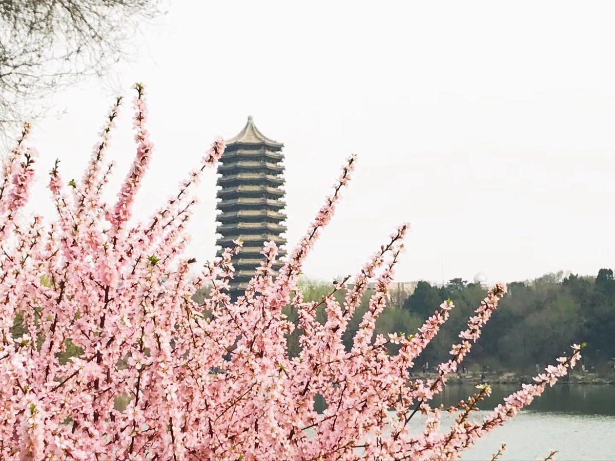 Wei ming lake at peking university,china.