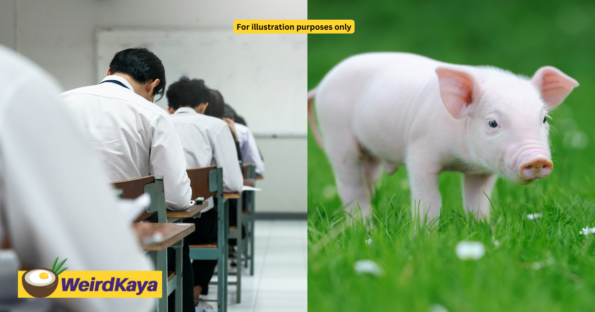 7yo M’sian Student Calls Teacher 'Pig' After She Steps In To Stop Him From Bullying A Classmate