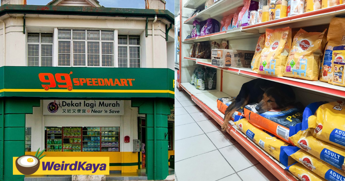 99 speedmart staff praised for letting stray dog take shelter during a thunderstorm | weirdkaya