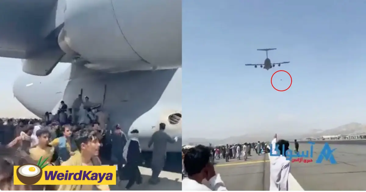 Three reported dead after falling off from a plane departing the kabul international airport | weirdkaya