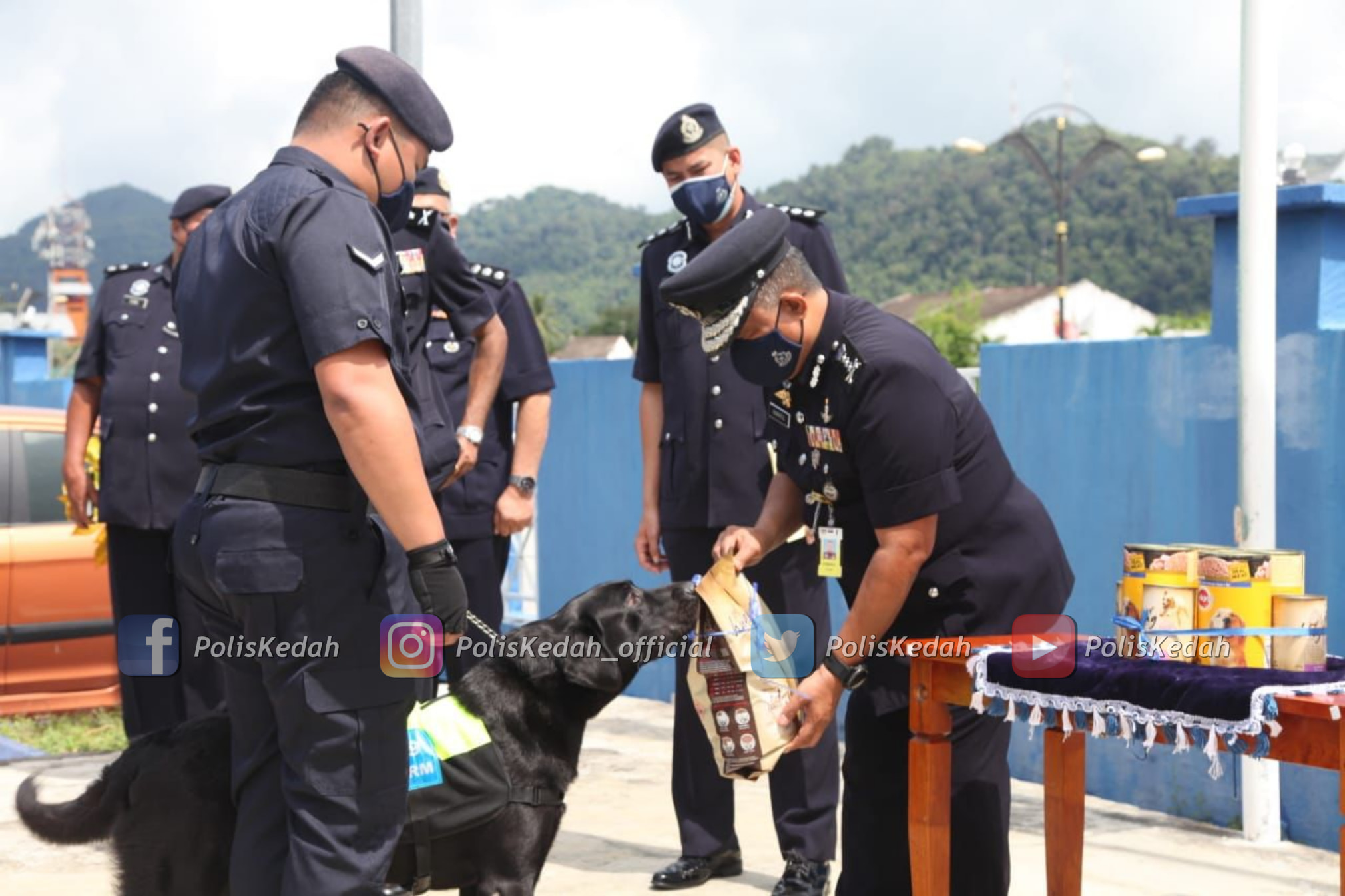 Good doggo rewarded by police with an appreciation party for busting drug case in langkawi | weirdkaya