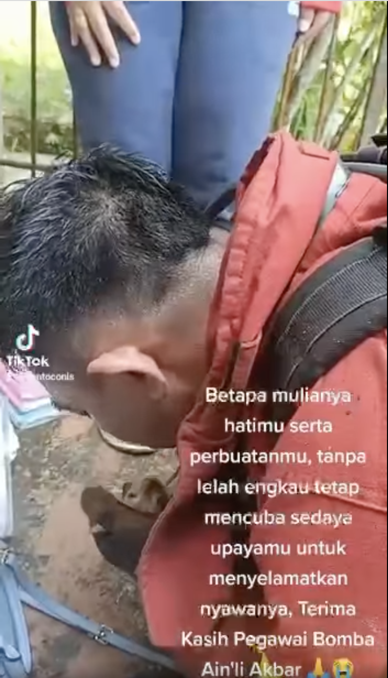 Firefighter doing cpr with cat