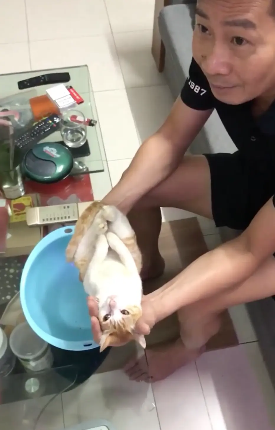 Vietnamese grandpa-to-be uses pet cat to show his son how to bathe a newborn baby | weirdkaya
