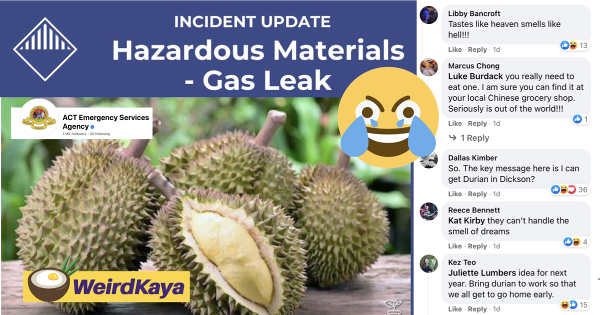 Australian firefighters dispatched to locate gas leak, only to discover durian as the culprit | weirdkaya