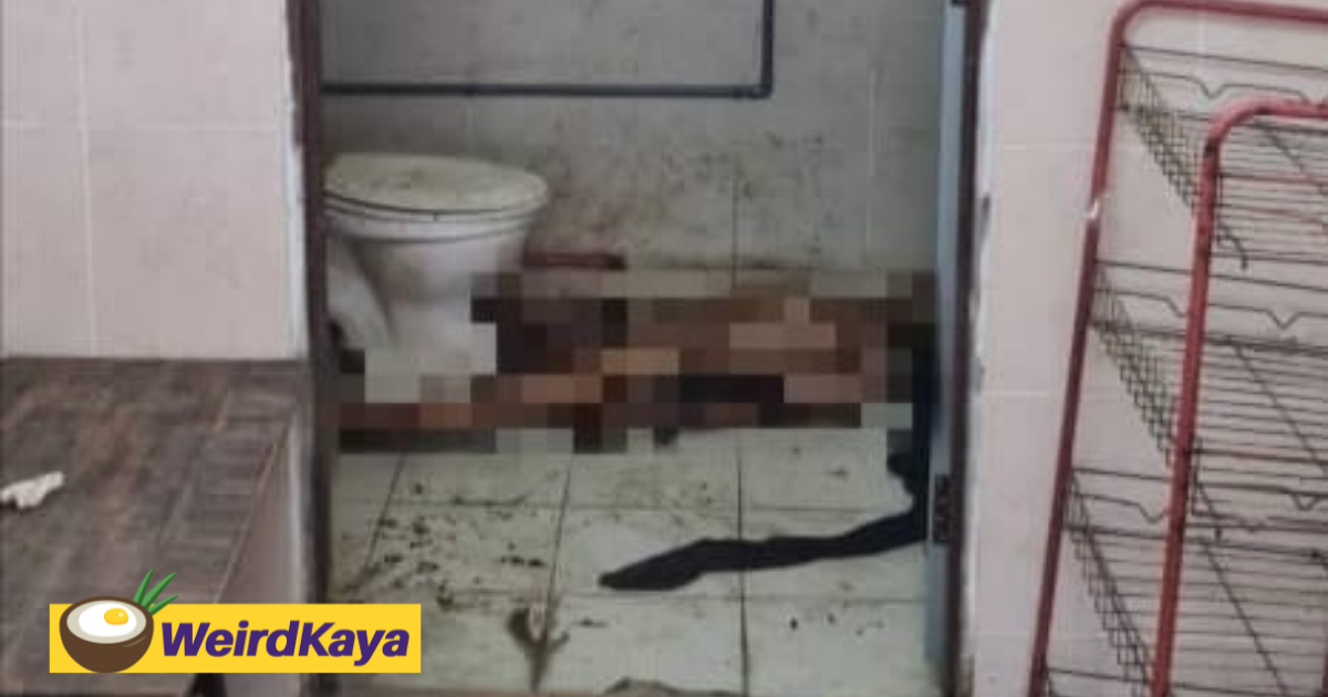 Homeless man found dead and buck naked inside public toilet | weirdkaya