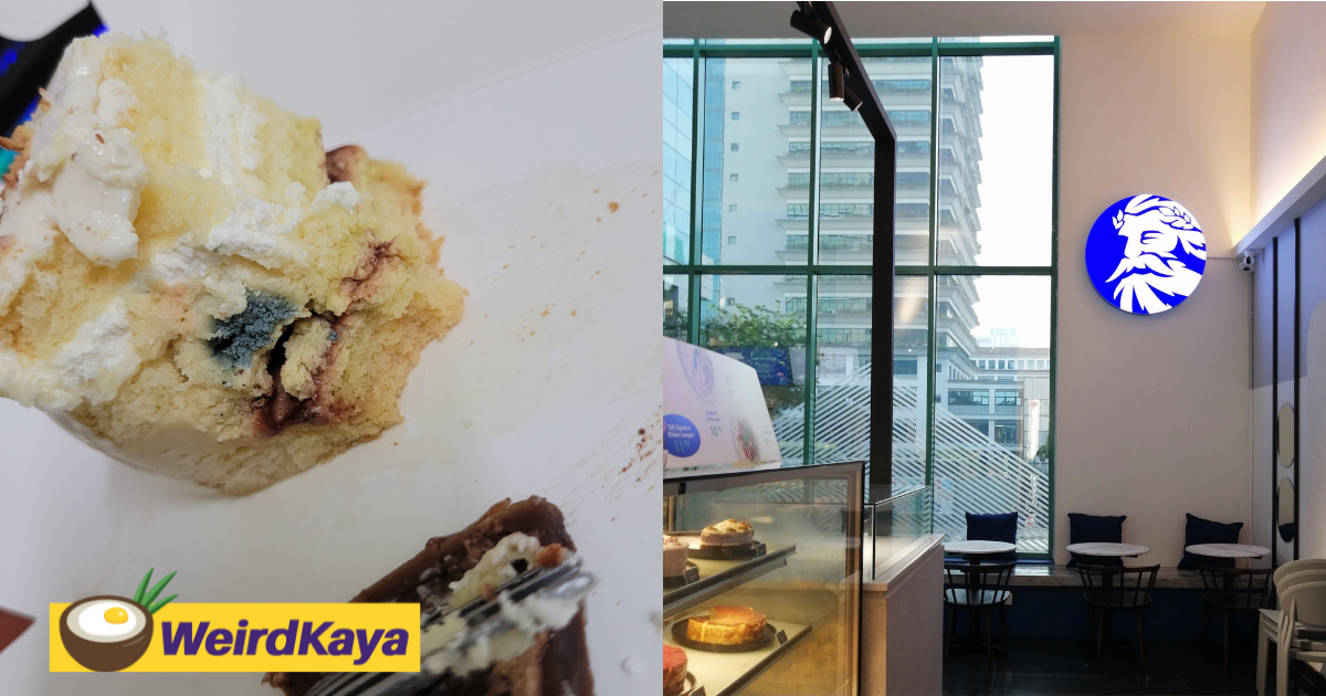 'you f***ed up! ' upset customer bashes zus coffee after discovering mould in her sliced cake | weirdkaya