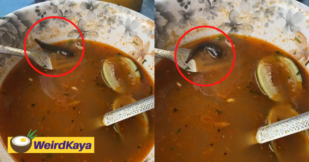 M'sian man shocked to find leech taking a dip inside his maggi soup | weirdkaya