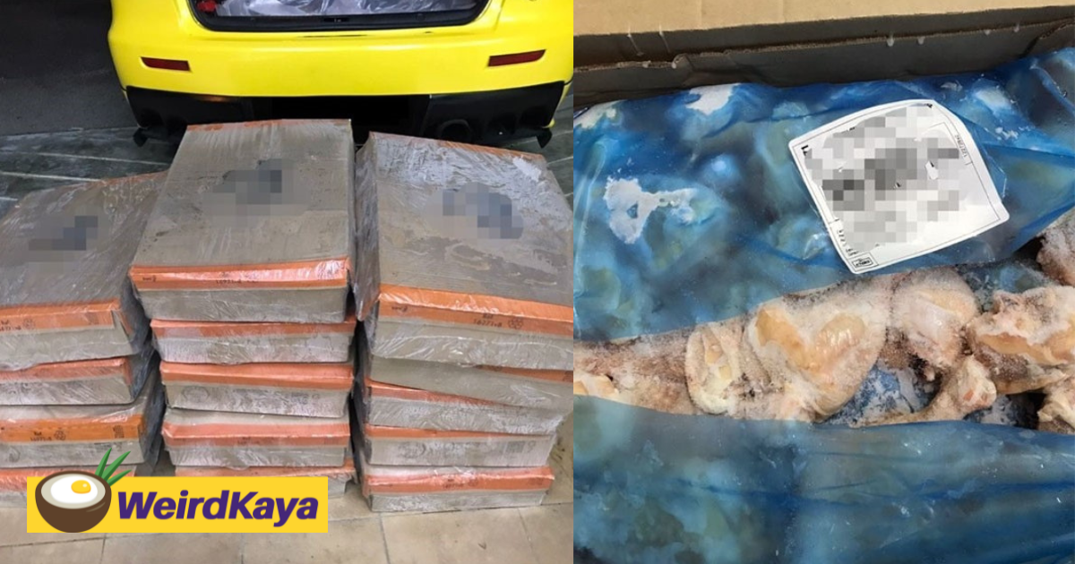 M'sian man busted for smuggling 210kg of frozen chicken worth rm3,580 from sg to jb | weirdkaya
