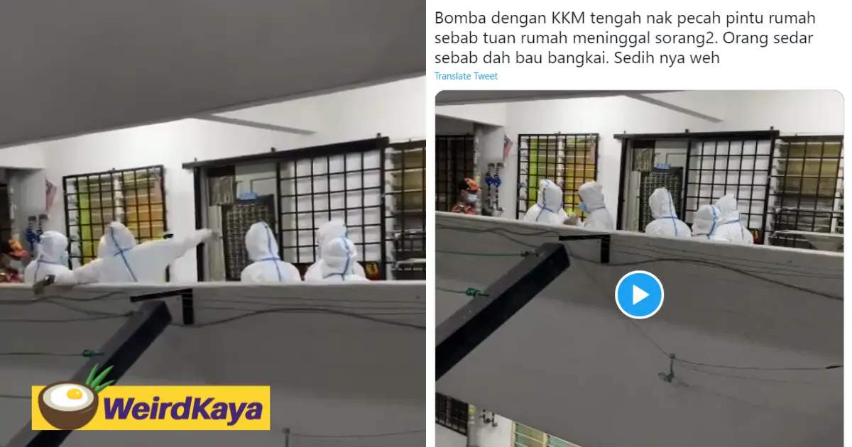 Moh staff breaks into apartment after it emits a putrid stench | weirdkaya