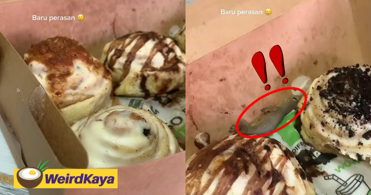 [video] girl discovers lizard nestled inside box of cinnamon rolls after eating 2 pieces | weirdkaya