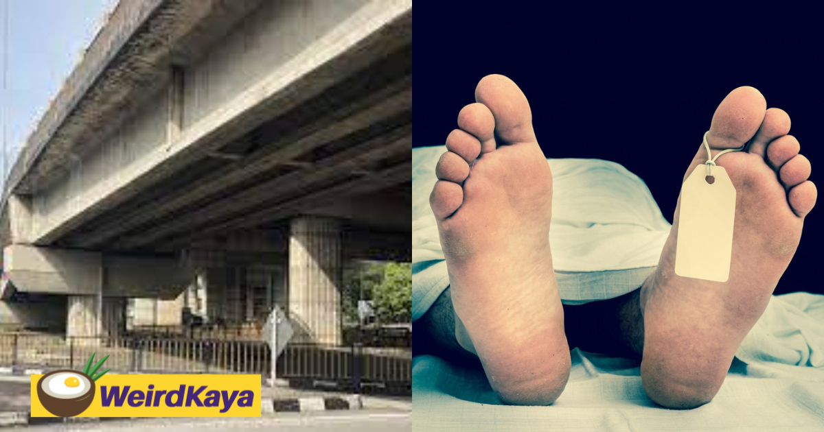 Father allegedly throws 3 of his kids off mrr2 bridge before leaping himself | weirdkaya