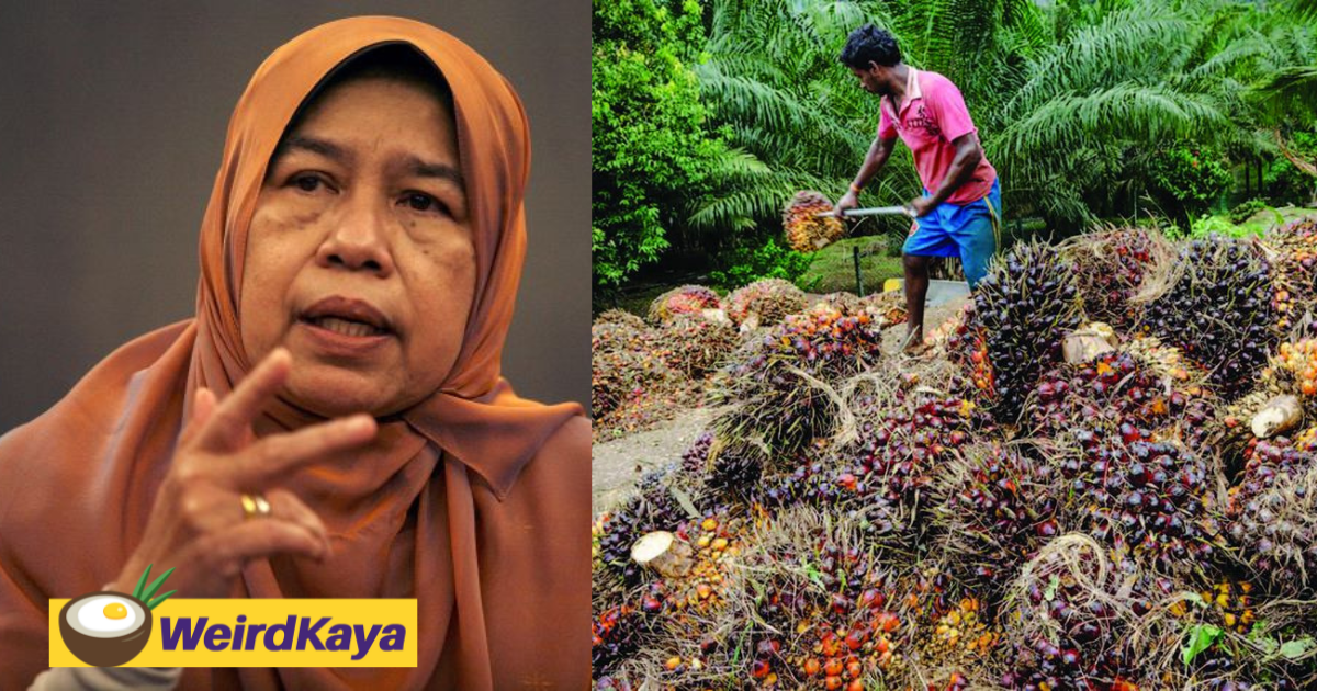 Young people should work at plantations if they want more pay & less stress, says zuraida | weirdkaya