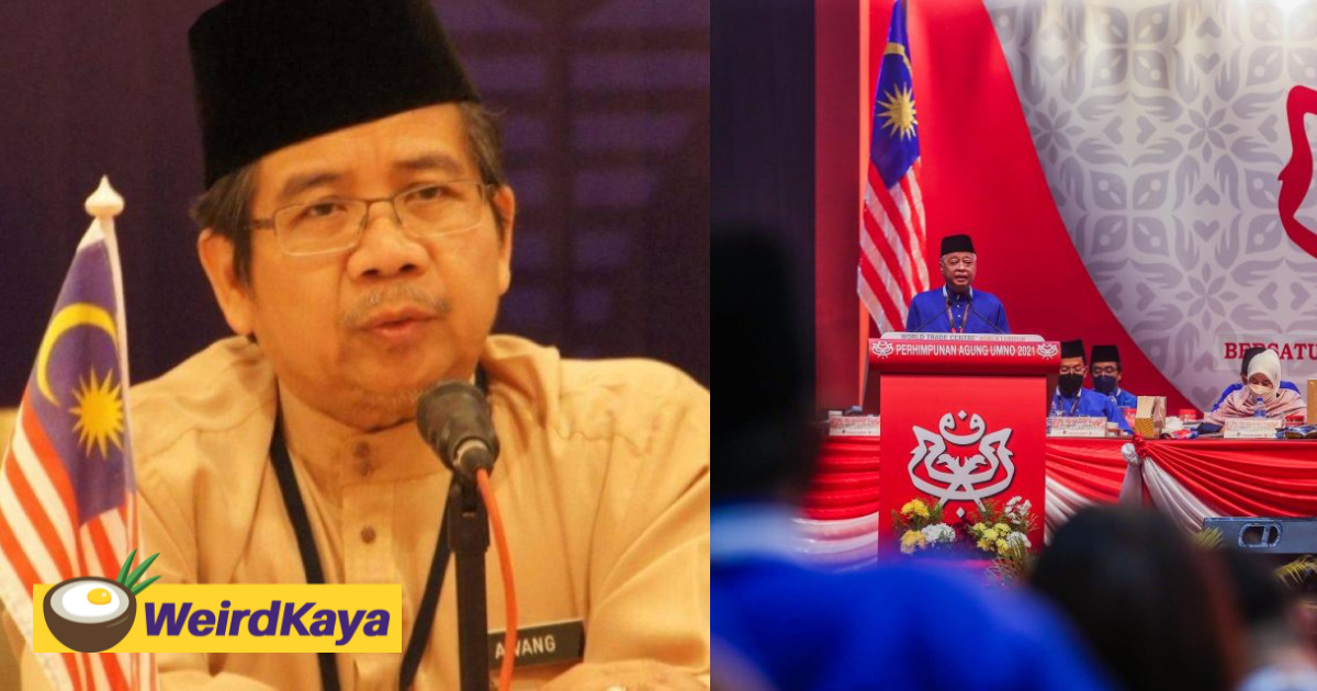 Show respect for bahasa malaysia or be fined rm50k, says dbp board chairman | weirdkaya