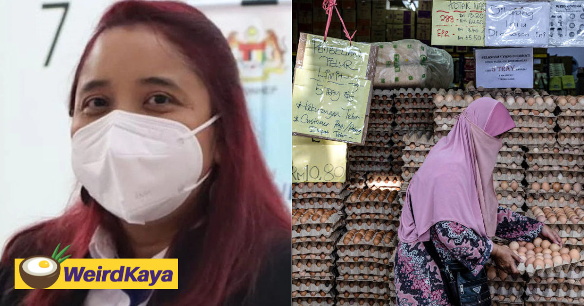 Eat less eggs to combat inflation, kpdnhep melaka director tells m'sians | weirdkaya