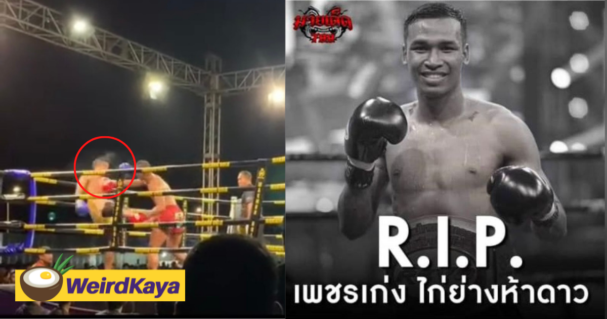 [video] muay thai boxer gets ko-ed by m'sian opponent, dies 10 hours later | weirdkaya