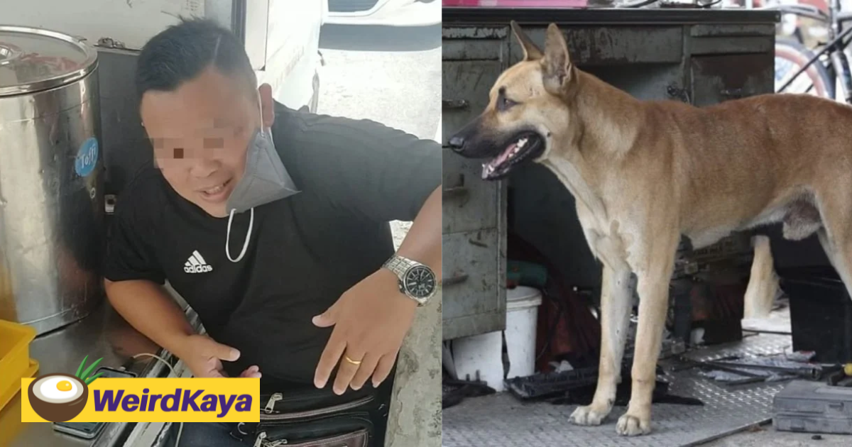 Remember this guy who claimed to eat a puppy? Turns out it was just a joke | weirdkaya