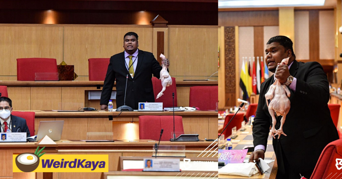 Perak assemblyman brings fresh chicken into state assembly to protest against price hikes | weirdkaya