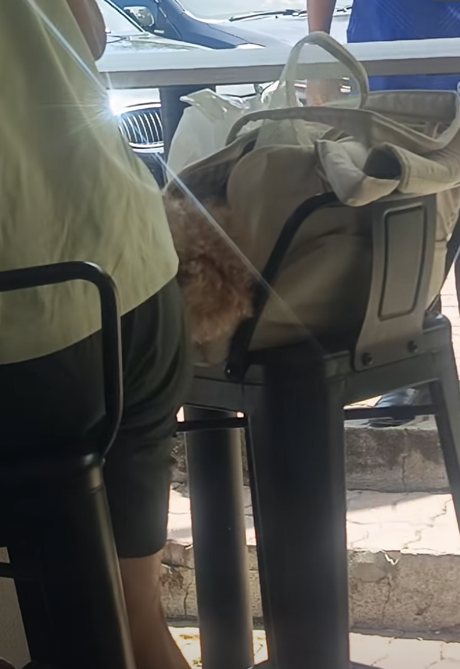 M’sian Netizens Praise Man For Calmly Reminding Diner Not To Bring Dog Into R&R Eating Area