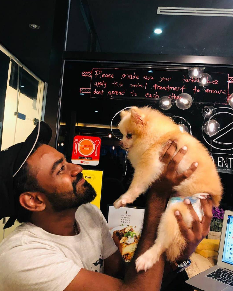 Image from: An Accident Left Me Disabled, But It Never Stopped Me From Rescuing Stray Dogs Who Needed Me | WeirdKaya
