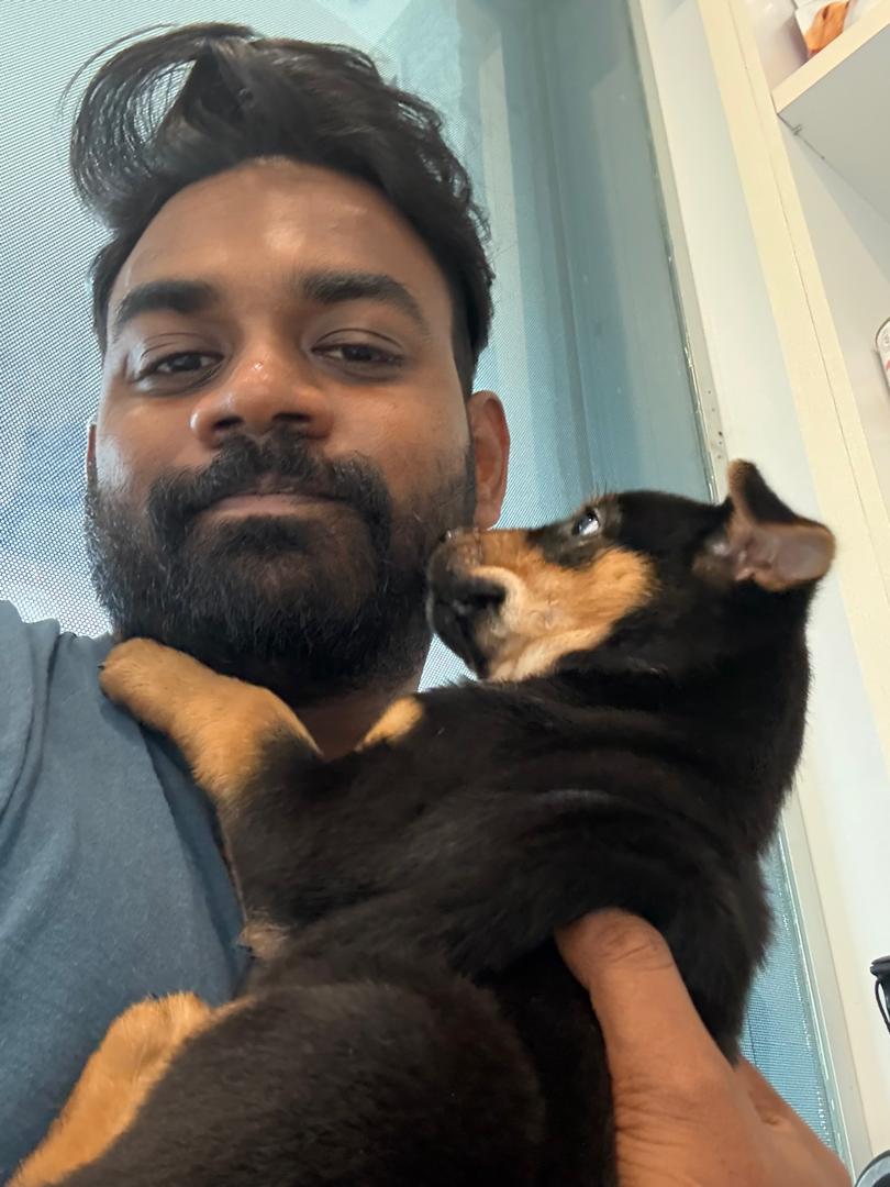 Image from: An Accident Left Me Disabled, But It Never Stopped Me From Rescuing Stray Dogs Who Needed Me | WeirdKaya