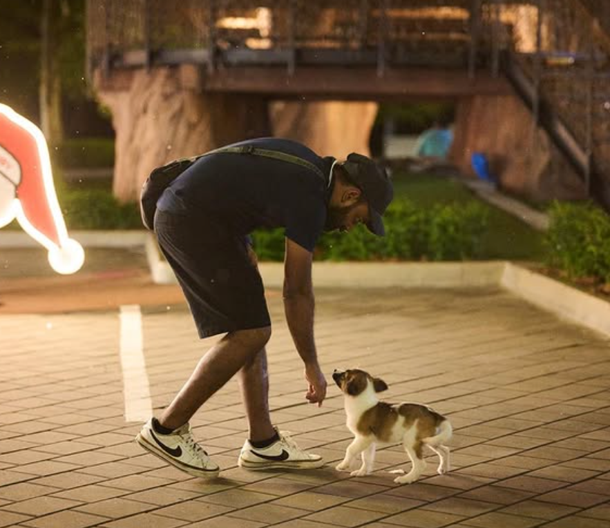 Image from: An Accident Left Me Disabled, But It Never Stopped Me From Rescuing Stray Dogs Who Needed Me | WeirdKaya