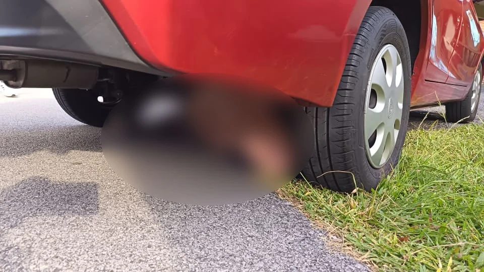 Old man crushed by his own car (1)