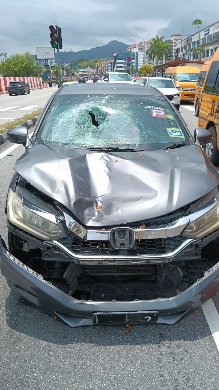 Penang zebra crossing accident (1)