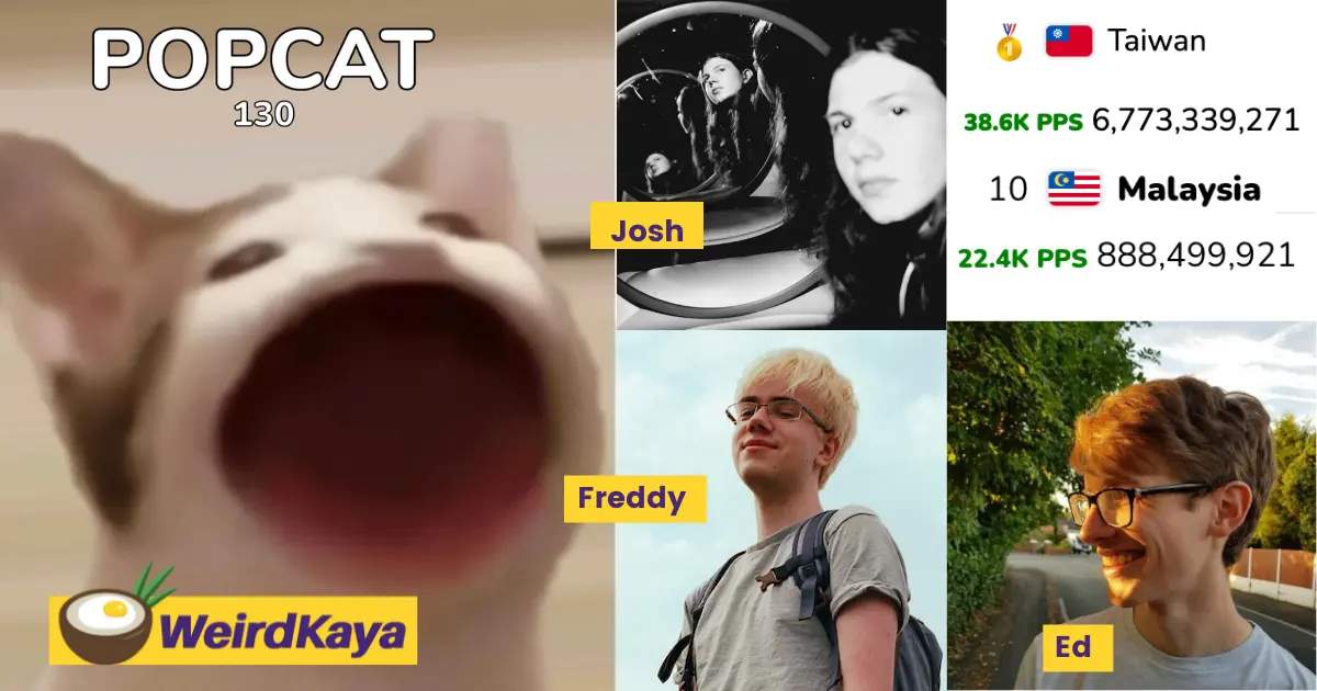 What's with popcat? Meet the geniuses behind the addictive meme | weirdkaya