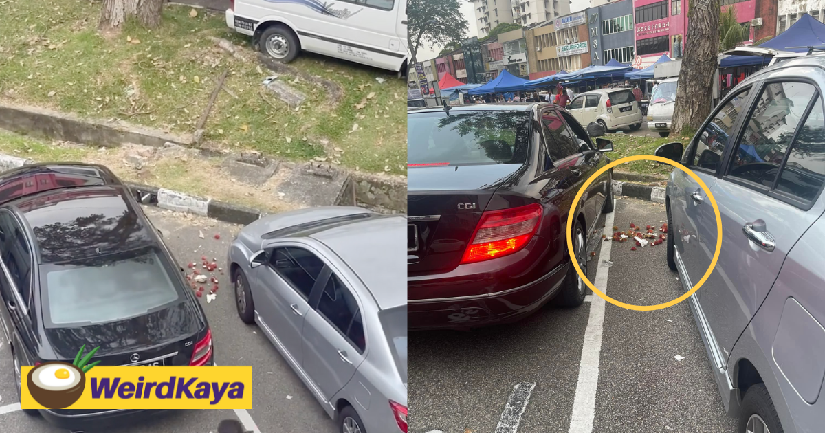 'bo standard! ' sg-registered car spotted throwing rambutan husks by the roadside in jb | weirdkaya