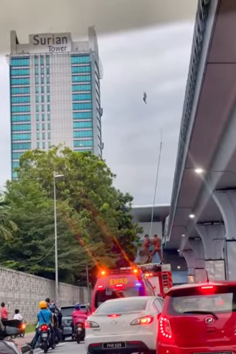 Motorists left confused to see eagle dangling mid-air near mrt station