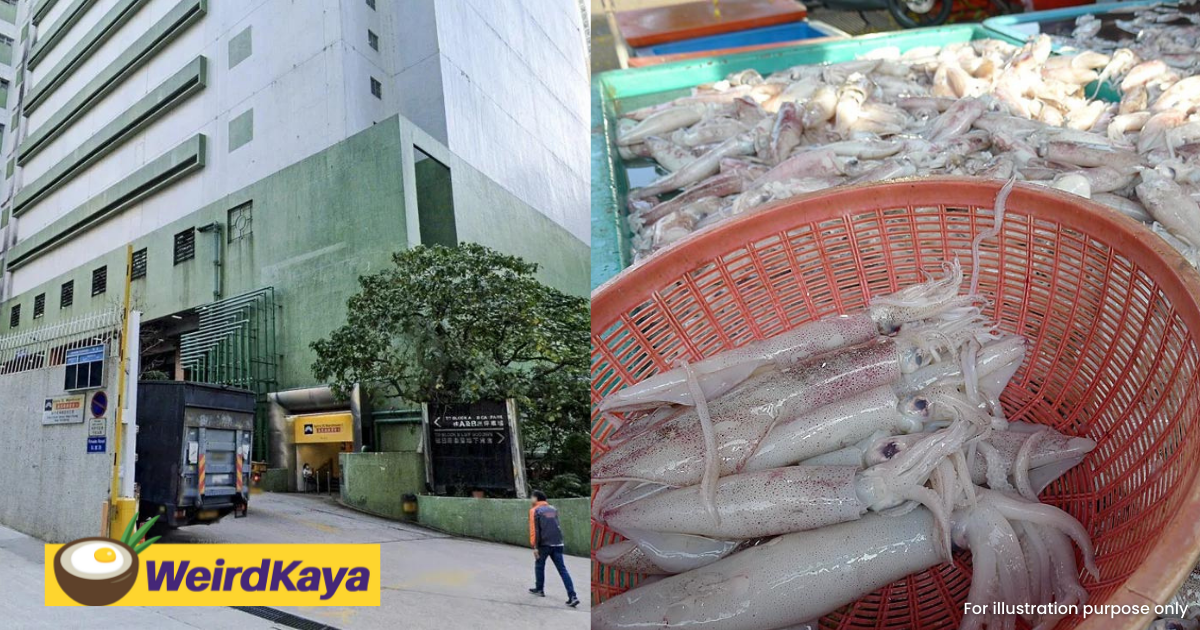 Hk health authorities discover traces of covid-19 on frozen 'sotong' slices imported from malaysia | weirdkaya