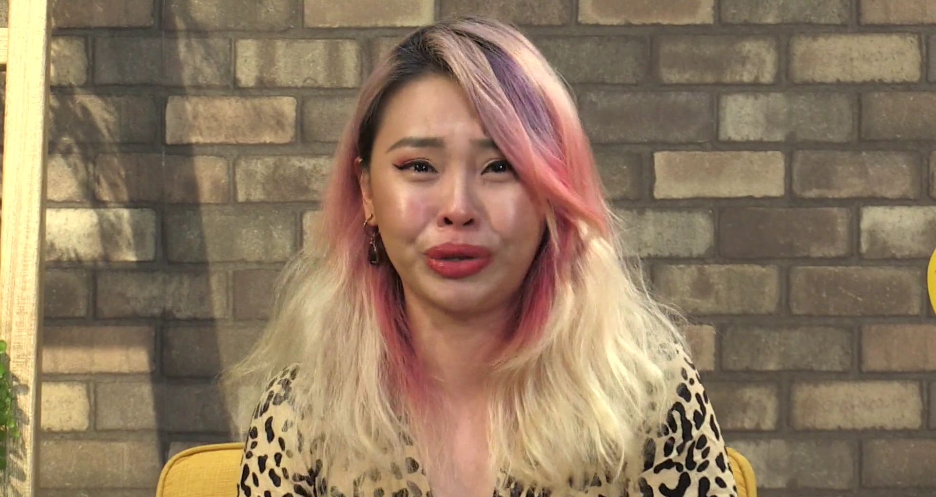 M'sian-born youtuber sylvia chan accused of verbally abusing employees, prompting police investigation | weirdkaya