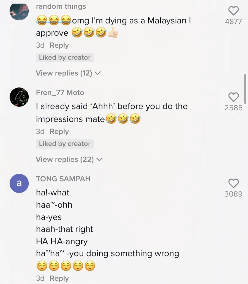 Uk expat shared malaysian saying that will trigger white people comment section(2)