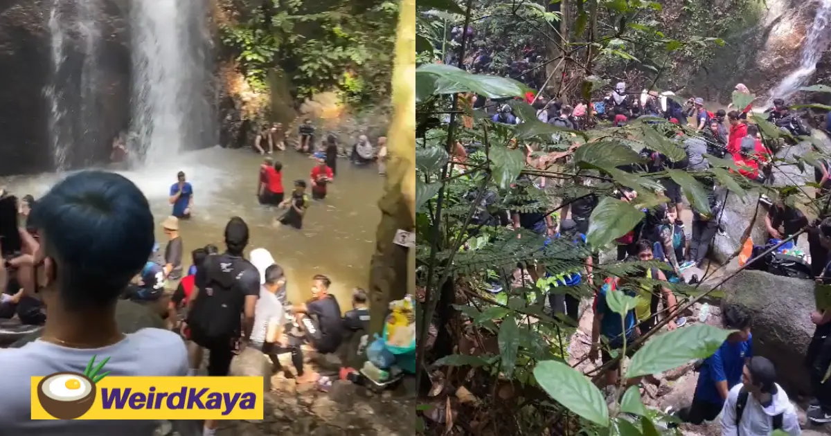 [video] shocking scenes of overcrowding at sungai pisang waterfall alarms m'sians | weirdkaya