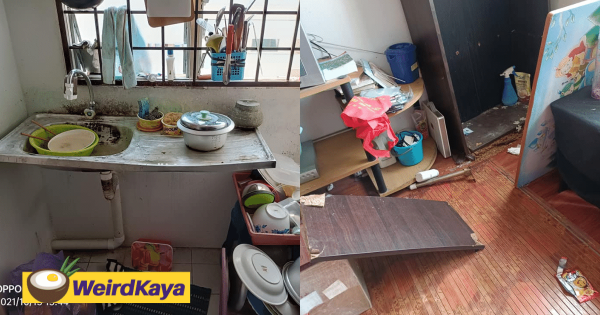 Home or pig sty? Landlord shares traumatising story of how her house was thrashed within ten months | weirdkaya