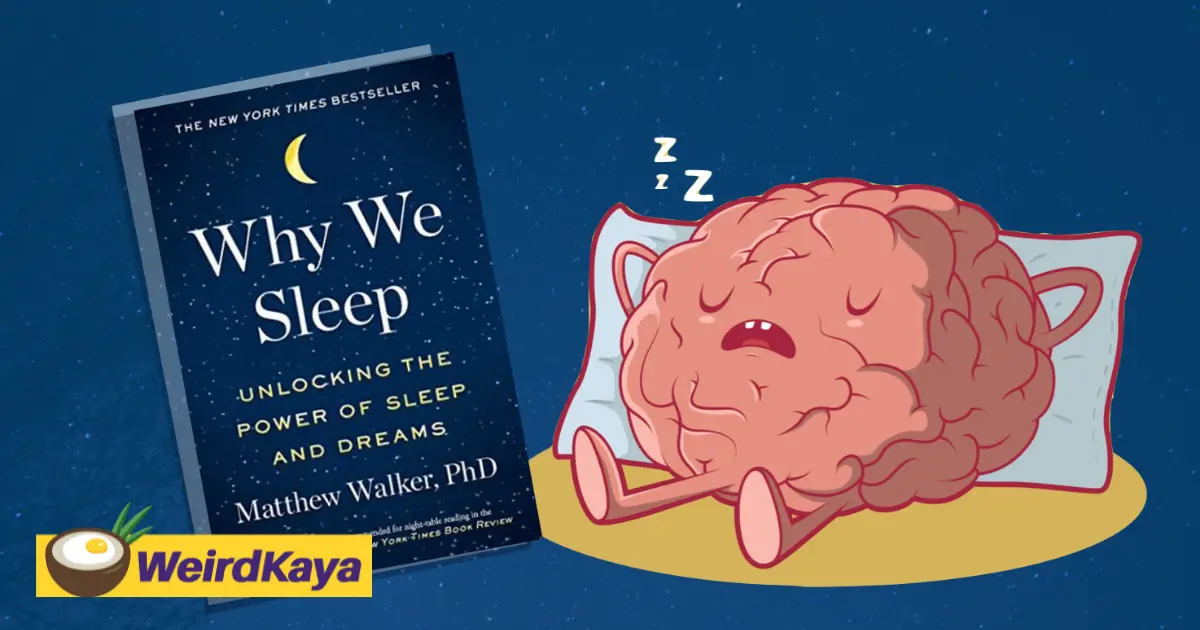 Sleep for productivity, to add or to cut? | weirdkaya
