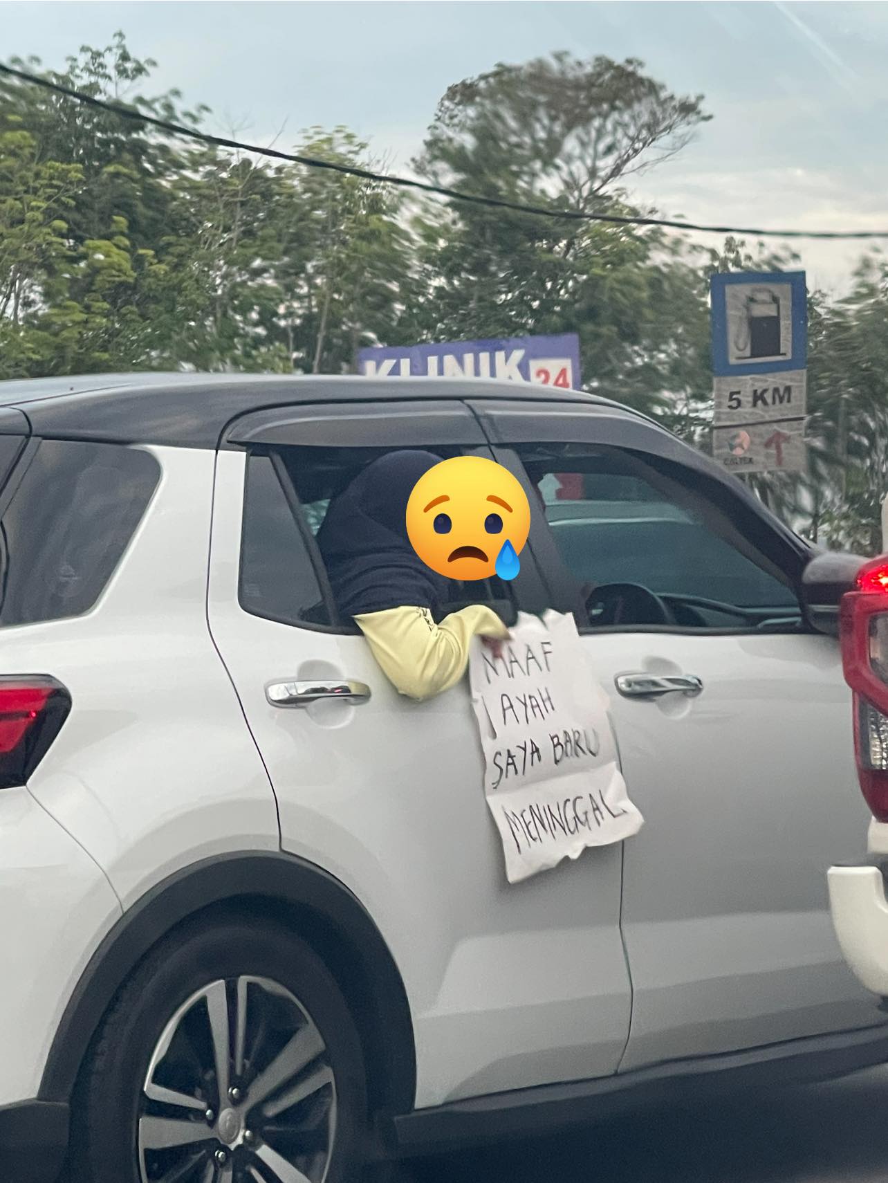 Woman holds placard while stuck in jam (1)