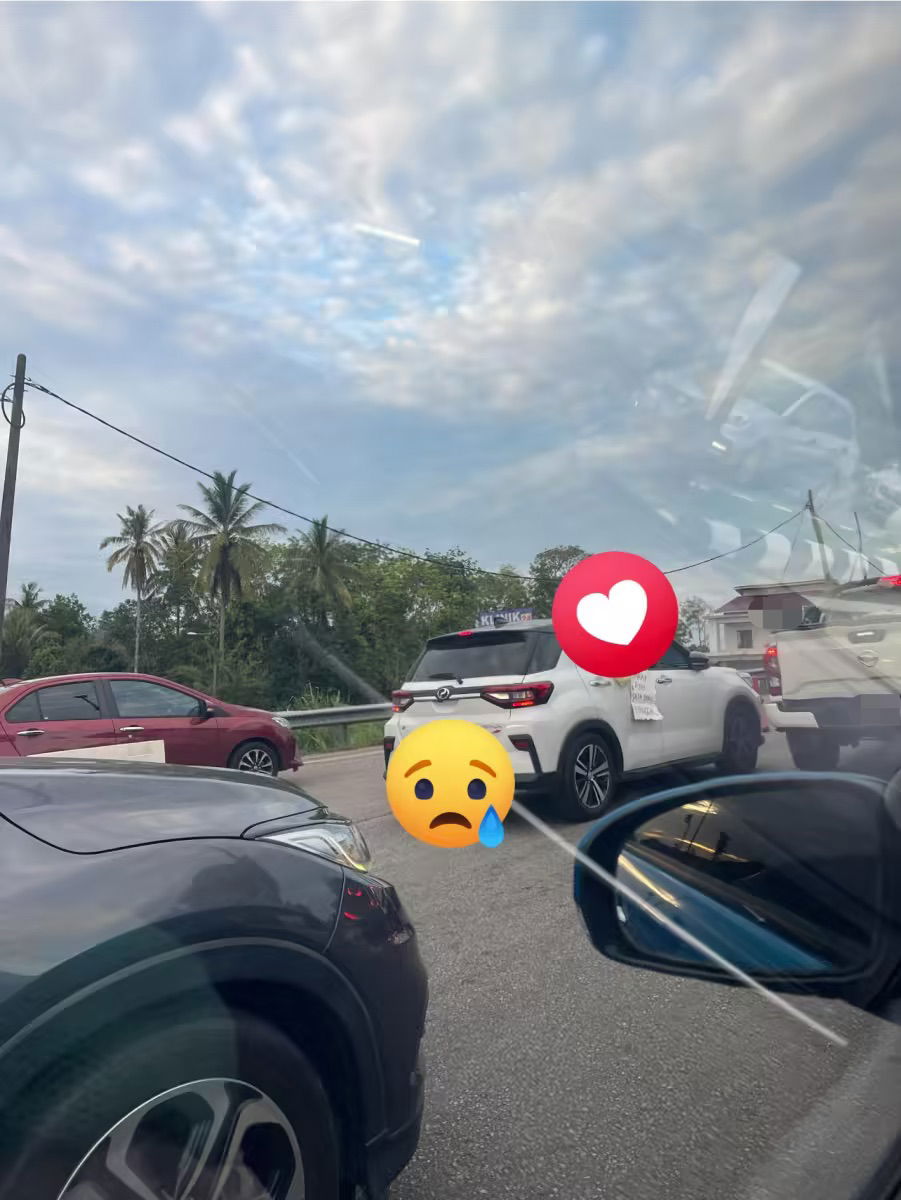 Woman holds placard while stuck in jam (2)