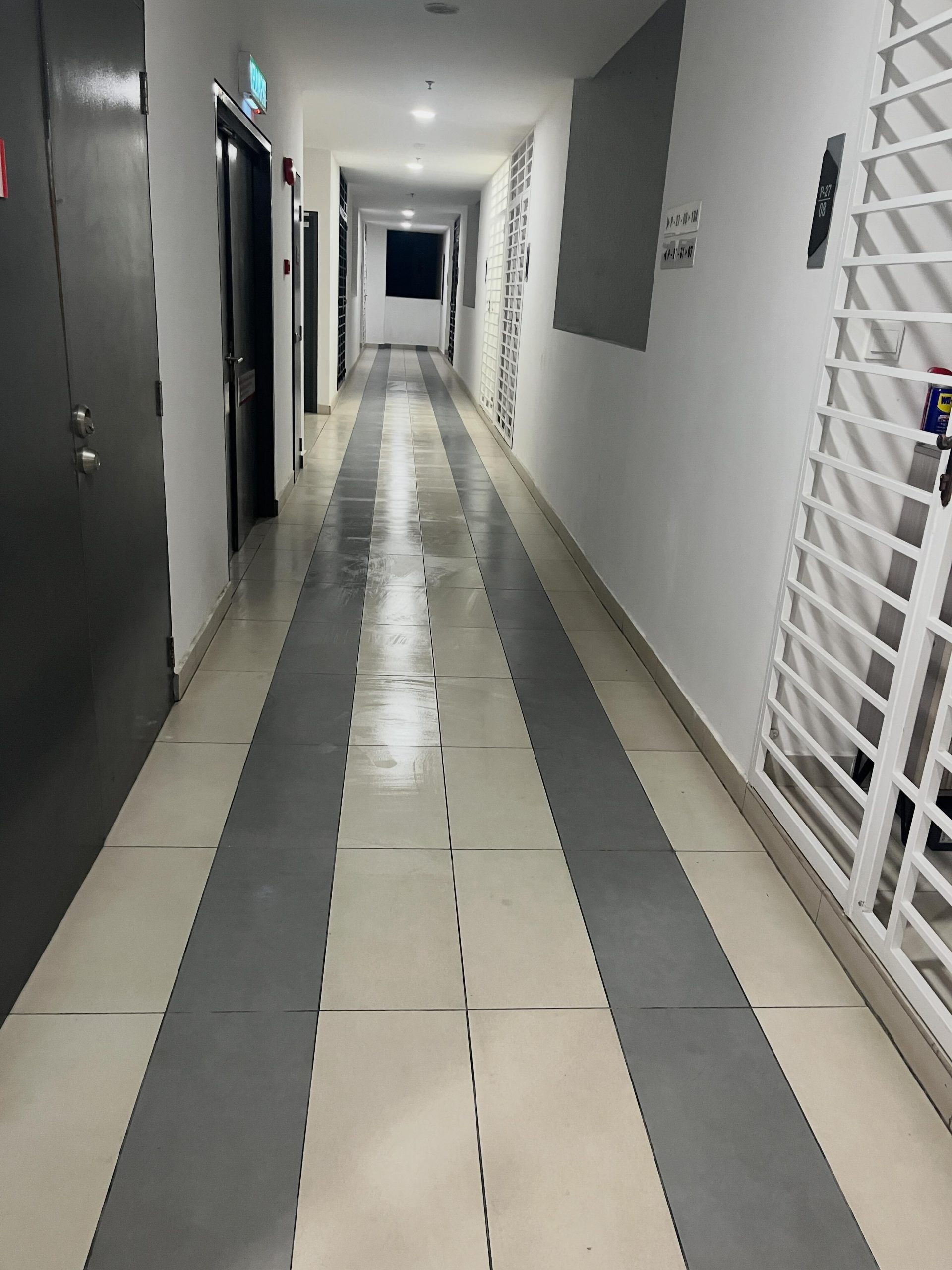 Woman mops apartment corridor (2)